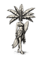 Palmilla
